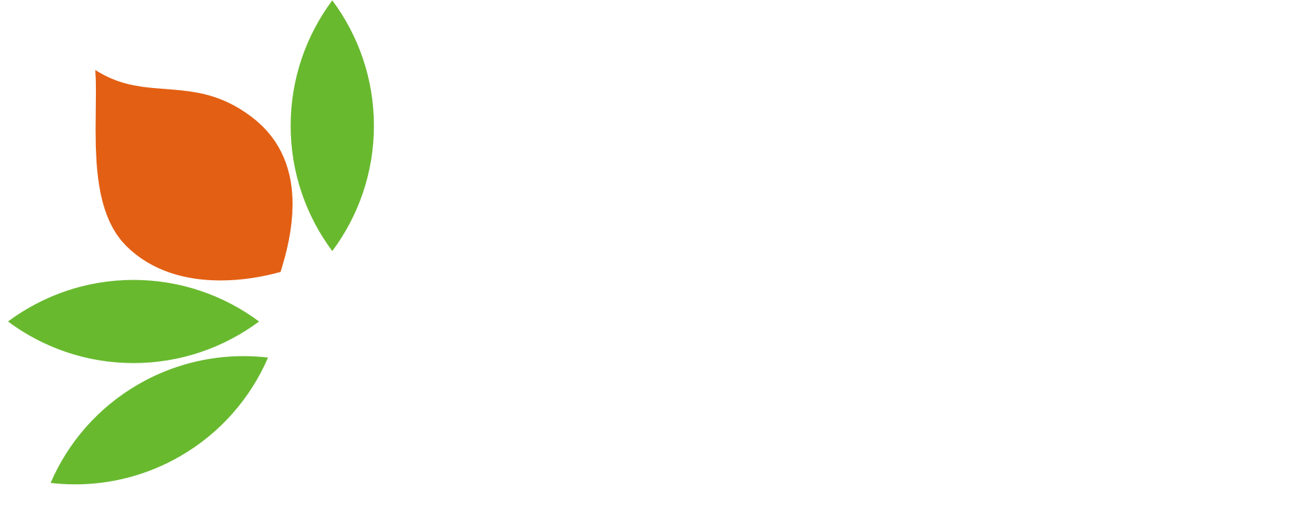 Logo Tourismusverband Salzandkreis e.V.