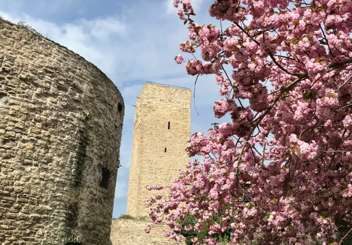 Die Stadtbefestigung Staßfurt ©Alexandra Bruscaini