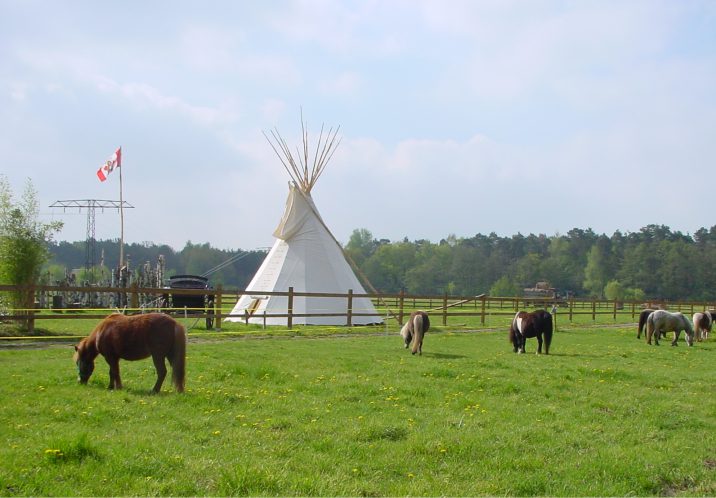 Das Bild zeigt das Tipidorf im Ferienpark "Plötzky"