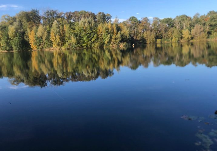 Himmel und Bäume spiegeln sich im See.
